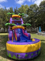 18 ‘ Purple Punch Water Slide